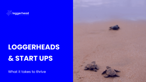 Loggerheads and Startups: What it takes to Thrive